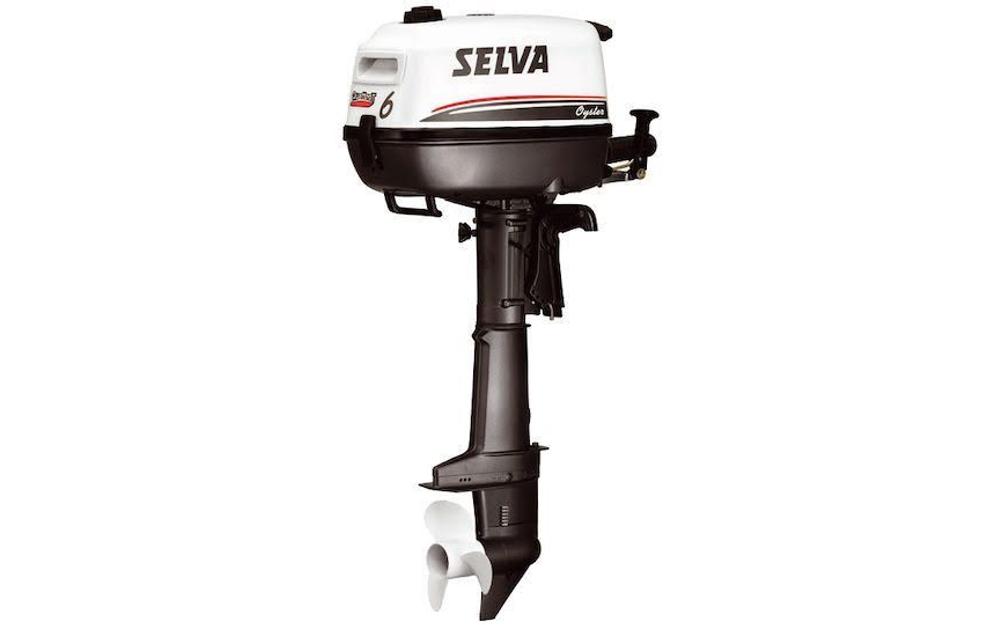 slider 0 Offre exceptionnelle moteur Selva 6 Cv arbre court