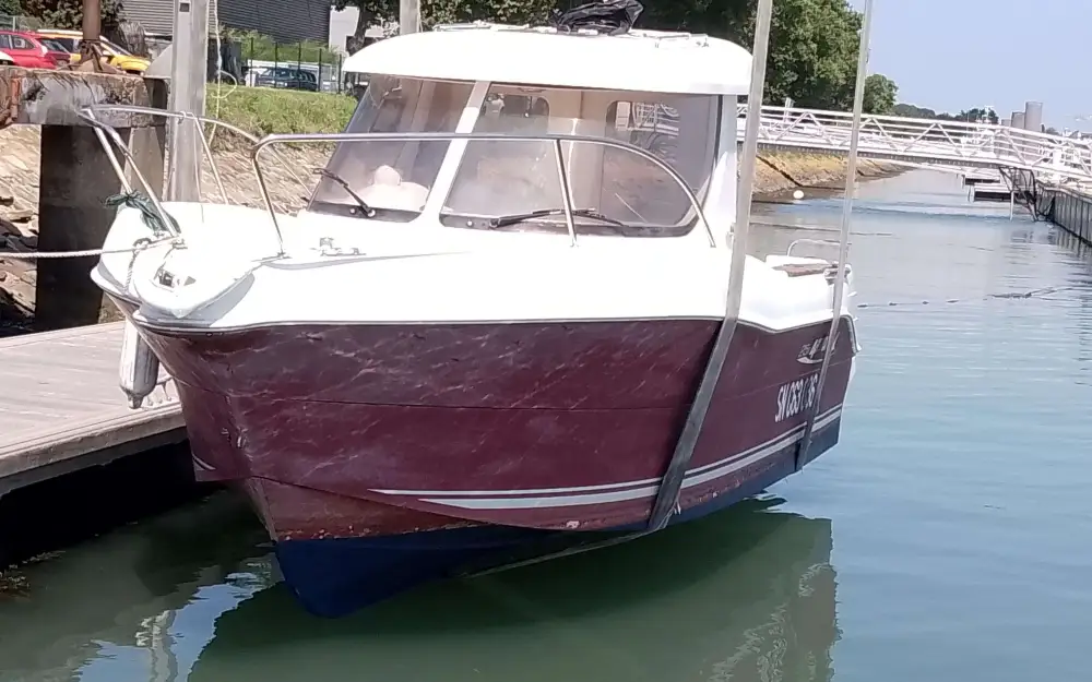 Arvor215