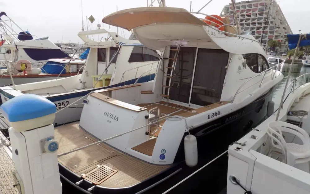 slider 1 Sessa Marine Dorado 36 - null