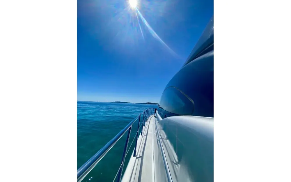 slider 5 Mangusta  72 - null