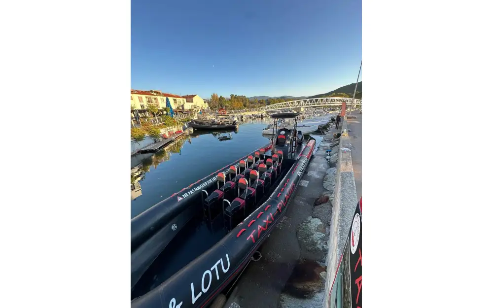 slider 4 Narwhal Fast 1200