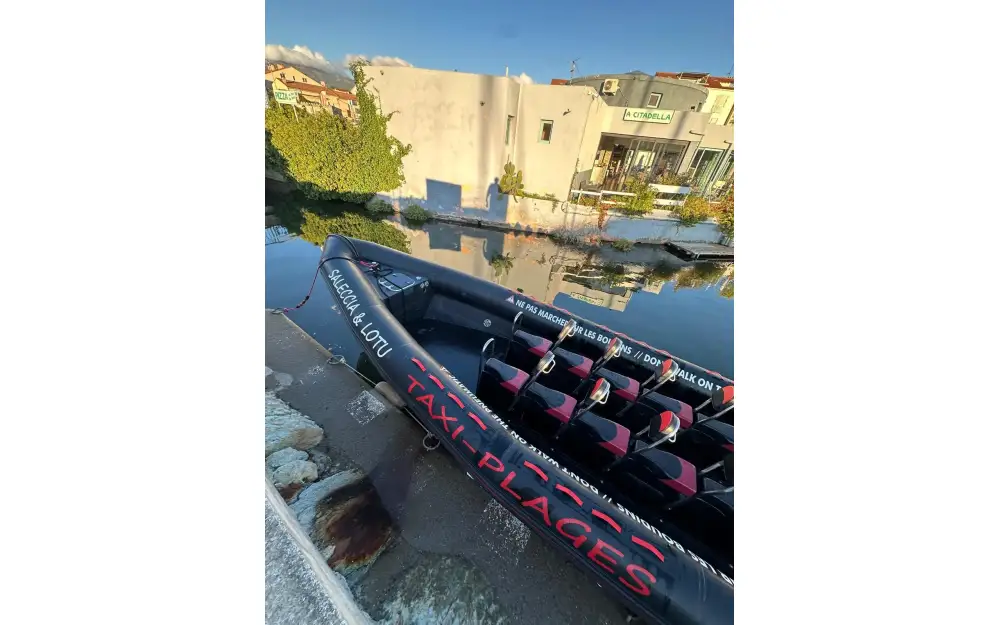 slider 7 Narwhal Fast 1200