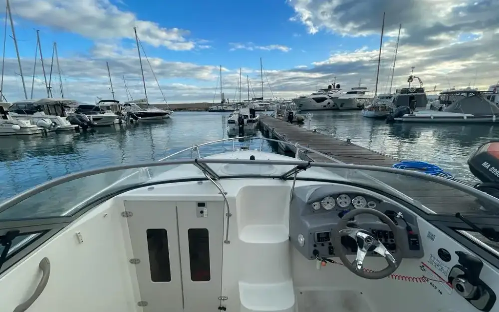 slider 6 Stingray  225 CR