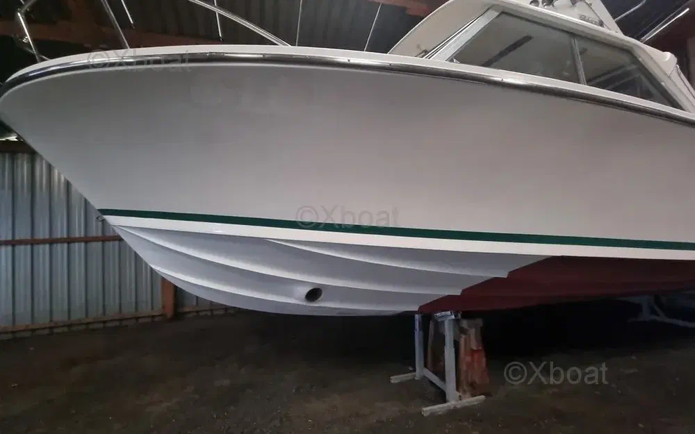 slider 6 Bertram Riva 25