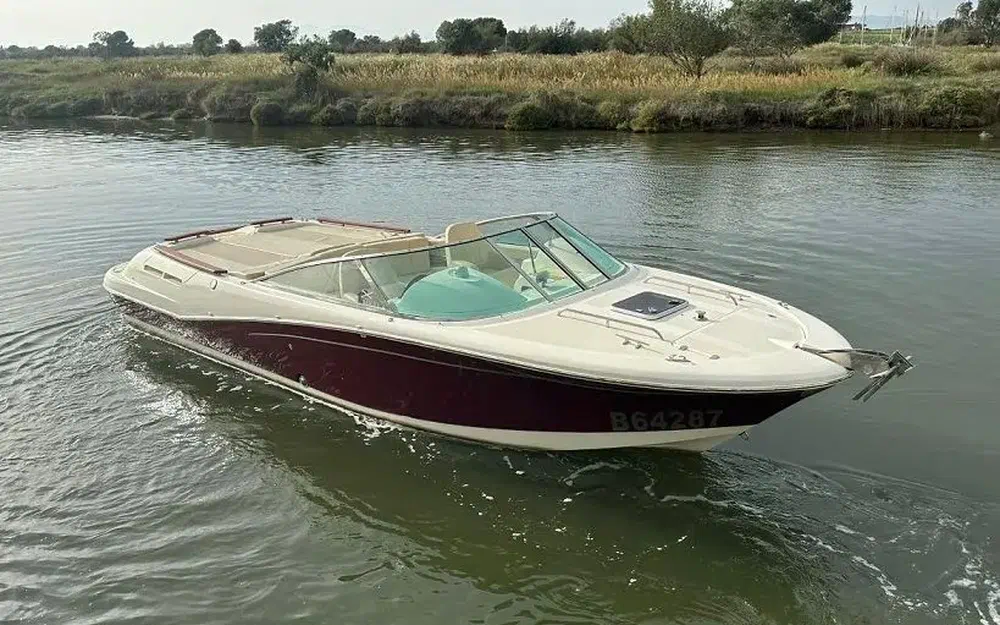 JeanneauRunabout 755