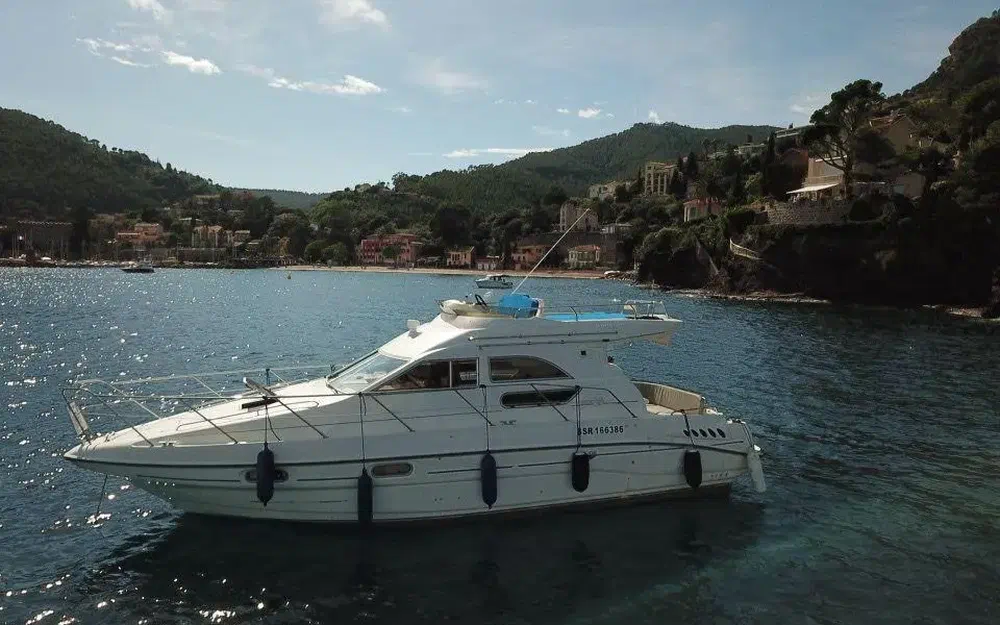 SealineStatesman 360