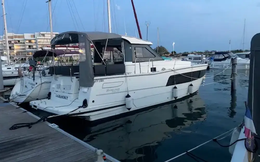 DelphiaDelphia 1100