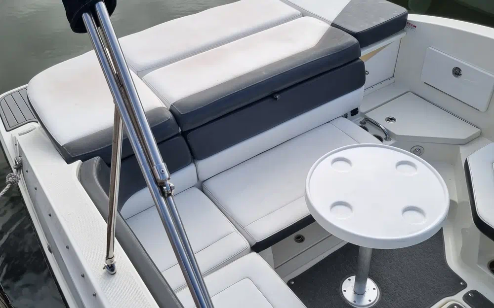 slider 10 Sea Ray SPX 230