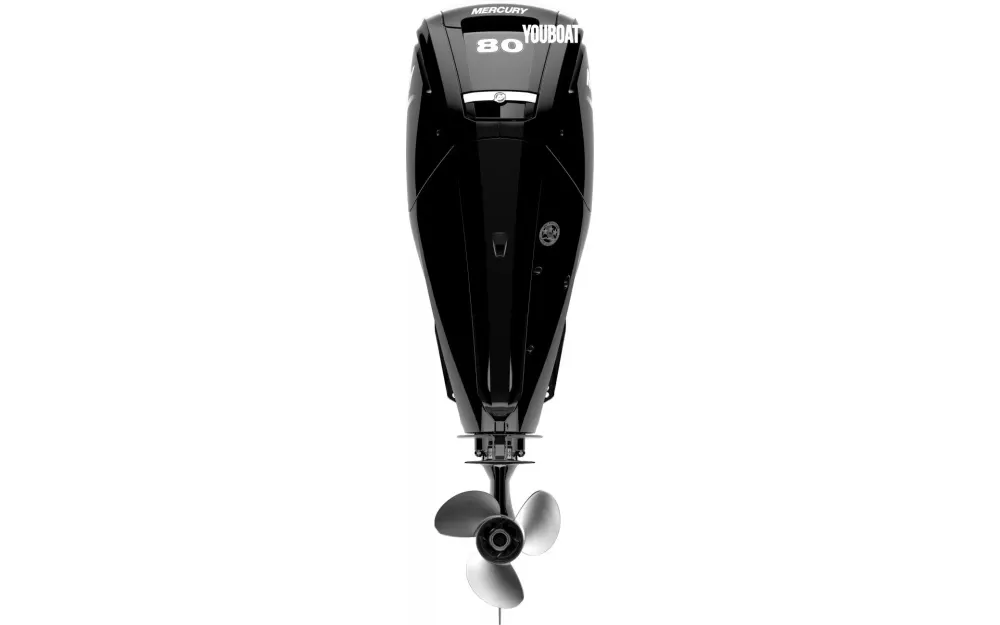 slider 3 Fourstroke 80 CV EFI
