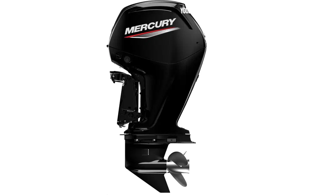 slider 4 Fourstroke 115 CV EFI *Offre Remotorisation Dispo saison 2026 L-XL Std ou CT !!