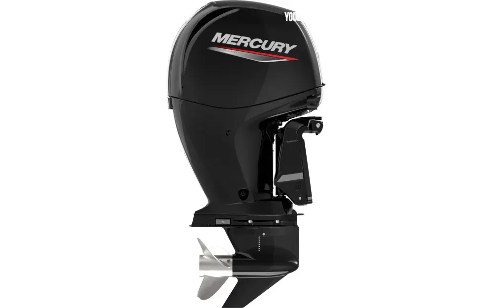 slider 10 Fourstroke 150 CV EFI
