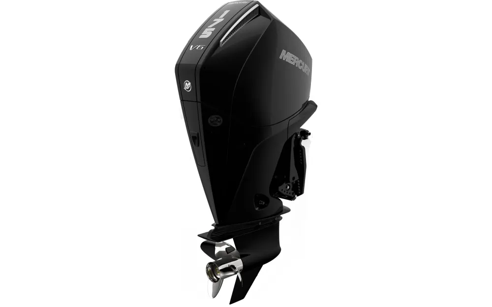 slider 4 Fourstroke 175 CV V6 EFI