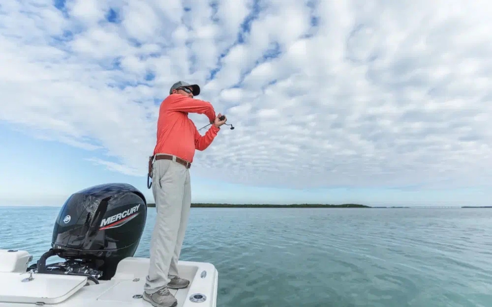 slider 3 Mercury 150