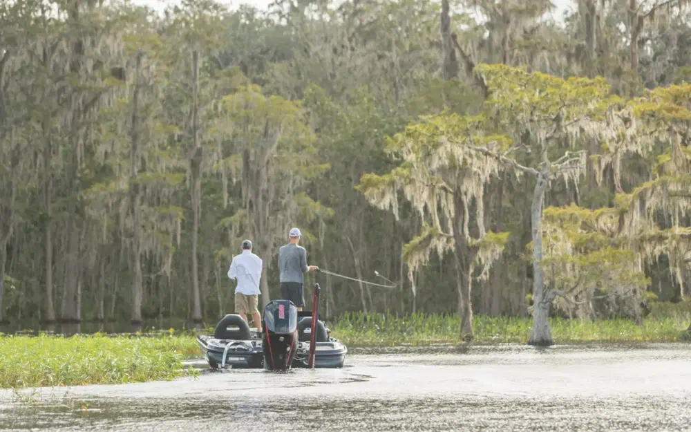 slider 3 Mercury 225