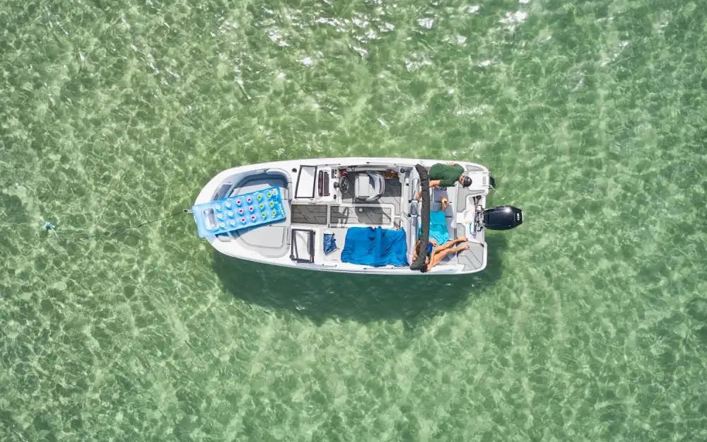 slider 5 Bayliner Element M19