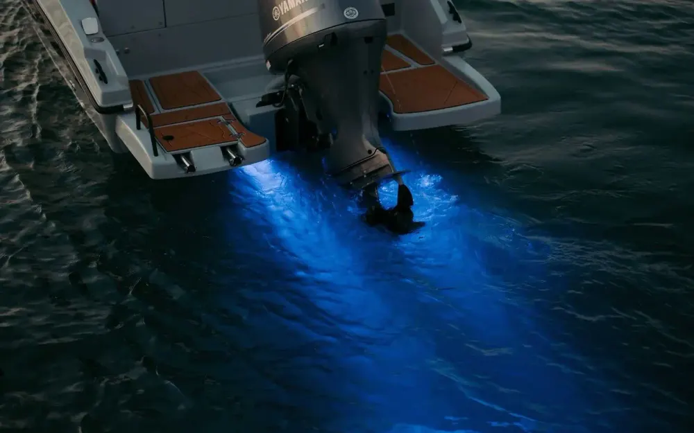 slider 4 Nireus Boats  620 CL - null