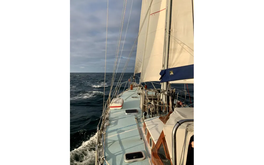 slider 16 Colin Archer Colina 41