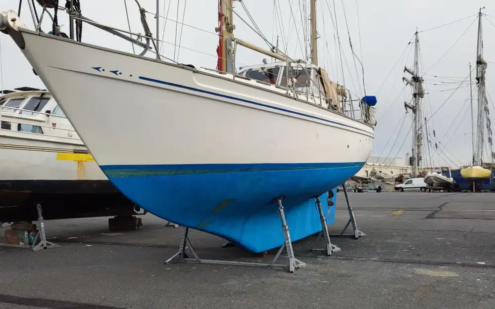 slider 11 Atlantic  40