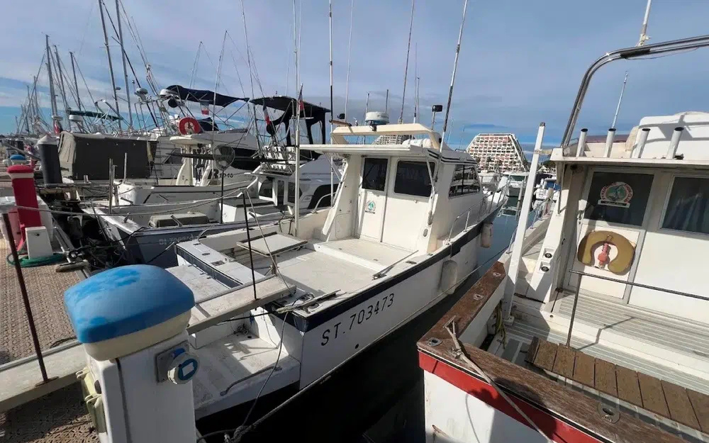 slider 1 Navimotors Teaser 31 Sport