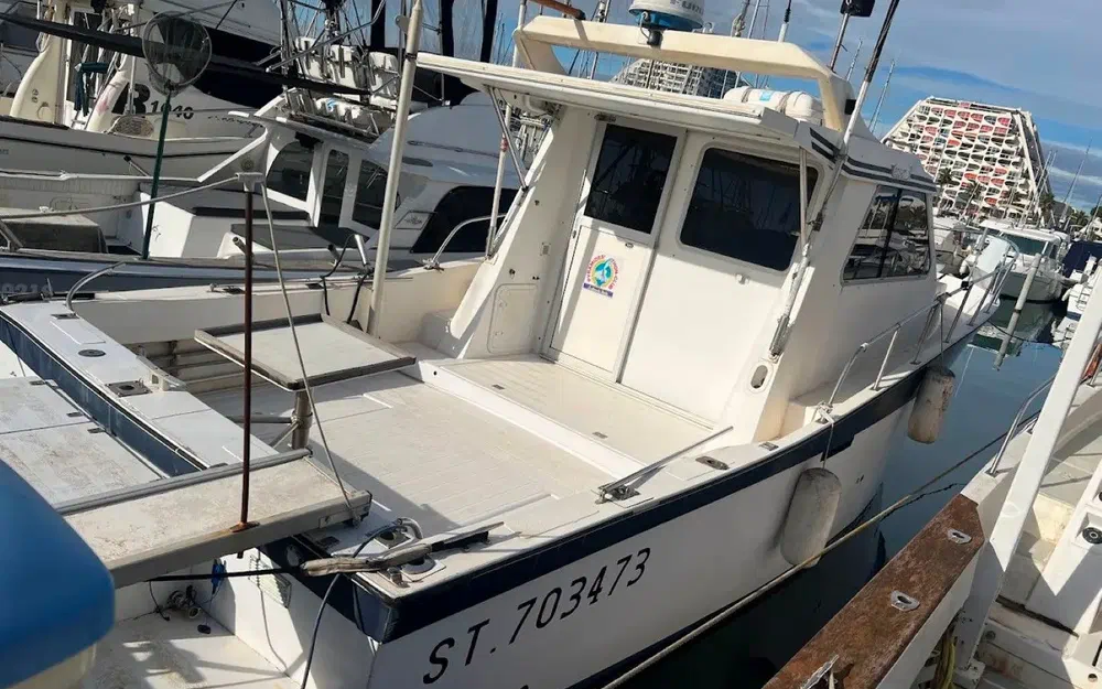 slider 0 Navimotors Teaser 31 Sport