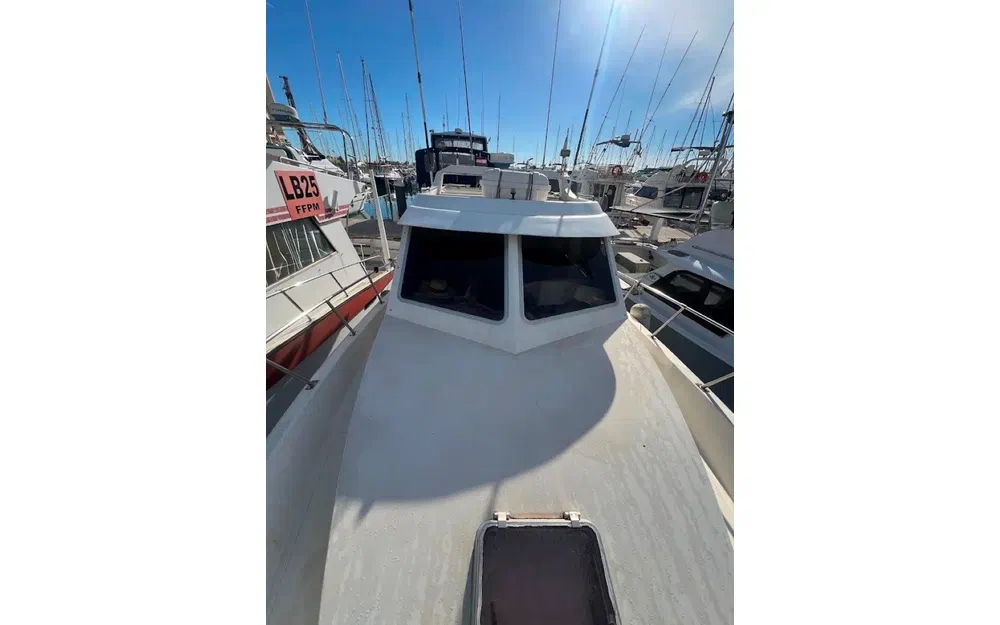 slider 2 Navimotors Teaser 31 Sport