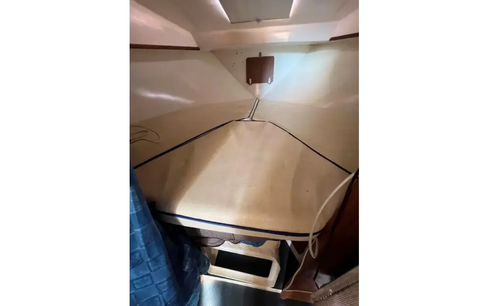 slider 6 Navimotors Teaser 31