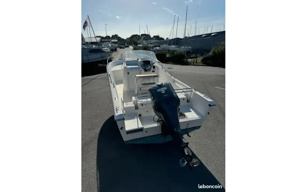 slider 2 White Shark  246