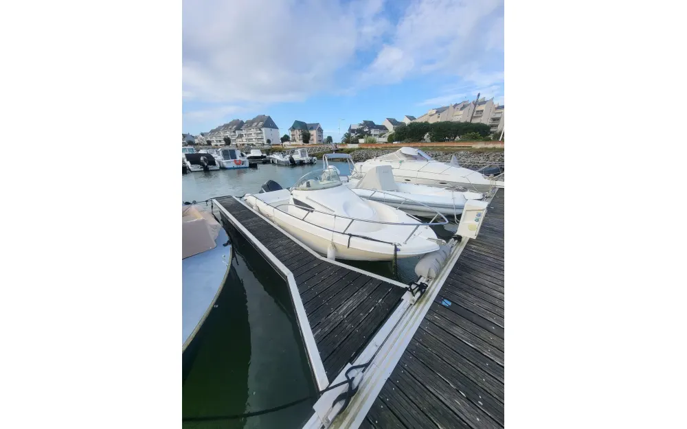 slider 3 Pro Marine Belone 550 - null