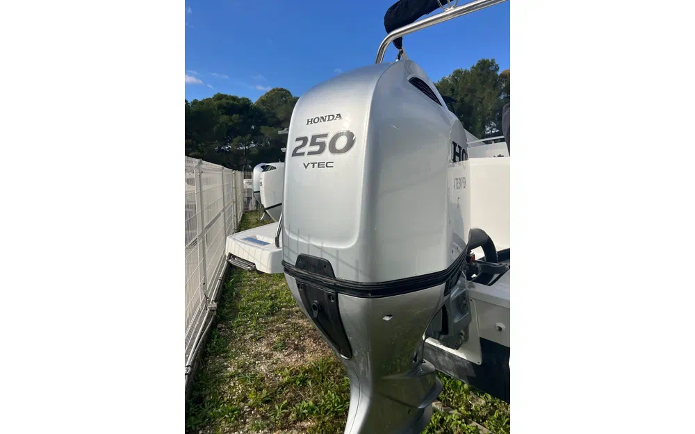 slider 5 HONDA BF250 OCCASION - N°4