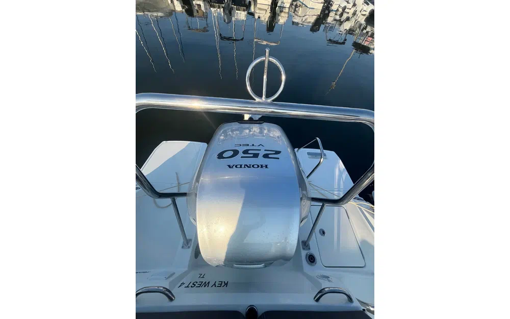 slider 12 HONDA BF250 OCCASION - N°4