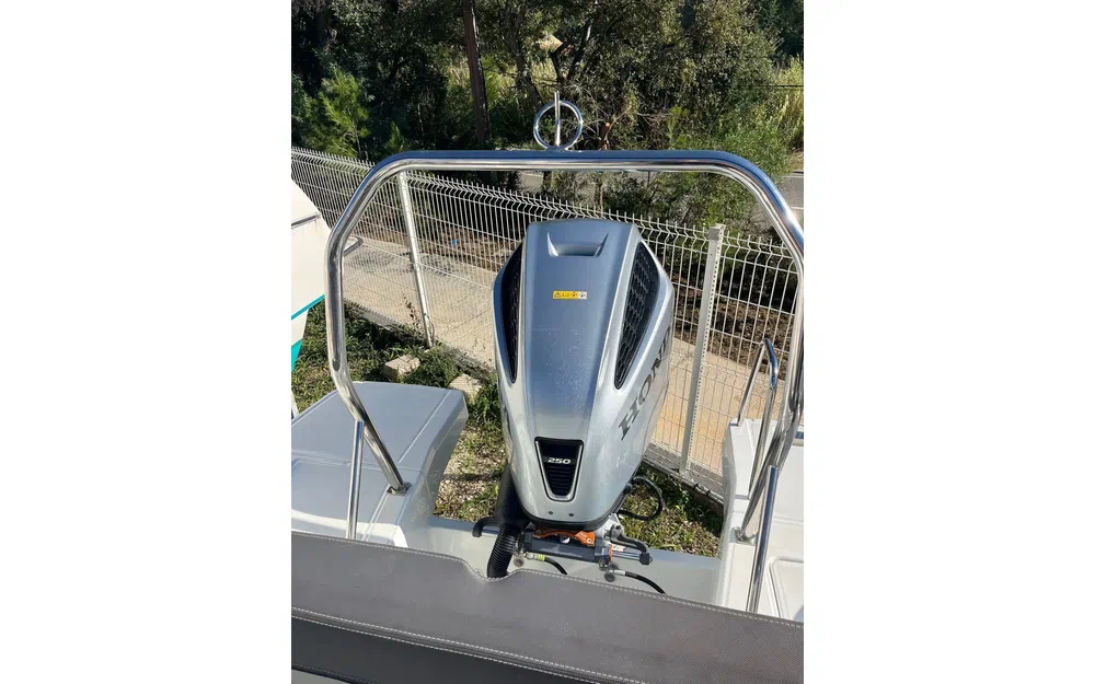 slider 7 HONDA BF250 OCCASION - N°4