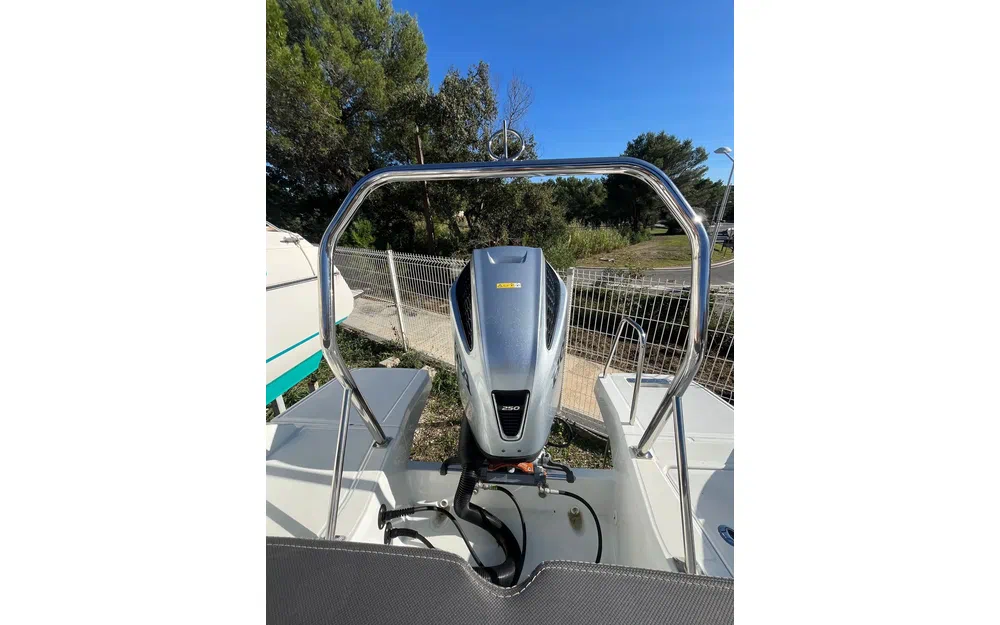 slider 9 HONDA BF250 OCCASION - N°4