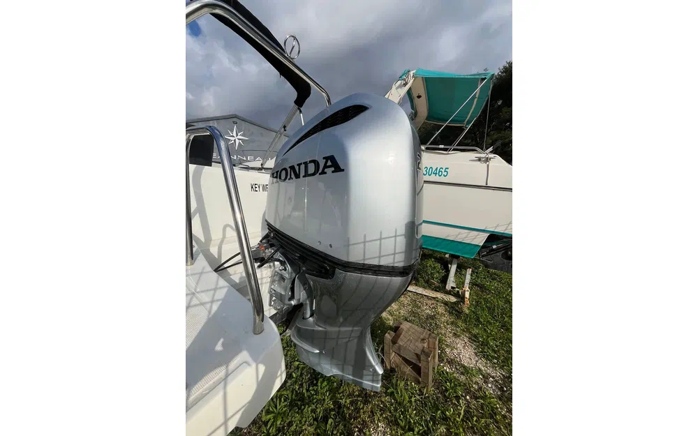 slider 1 HONDA BF250 OCCASION - N°4