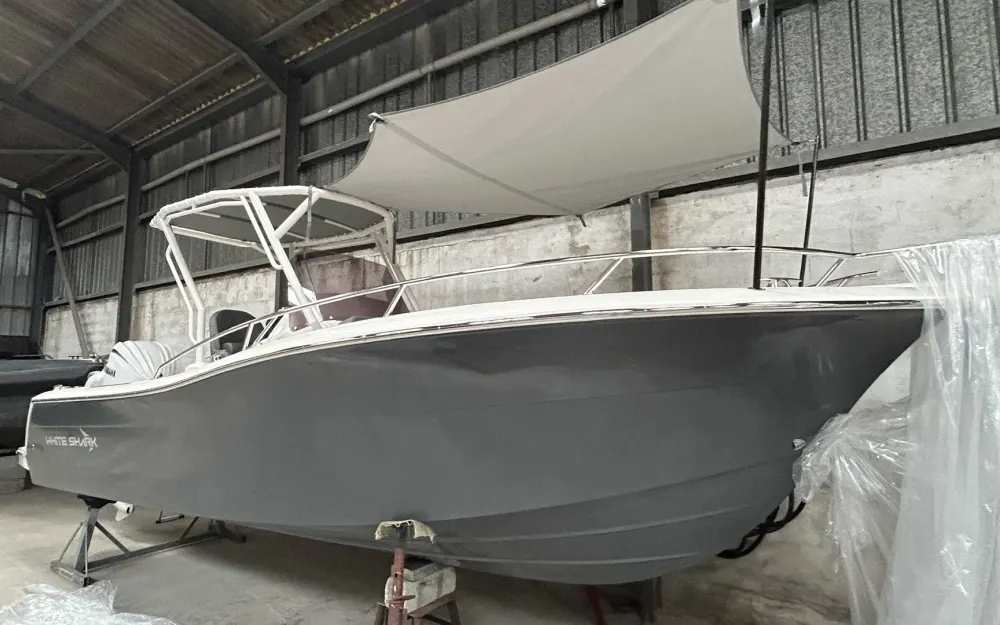 slider 10 White Shark  240 CC