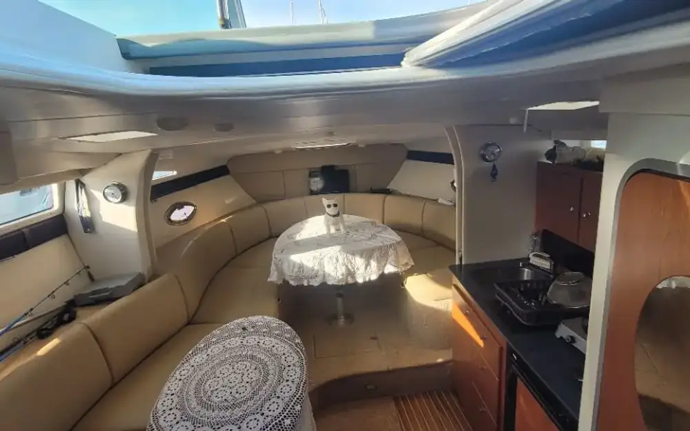 slider 6 Bayliner  325
