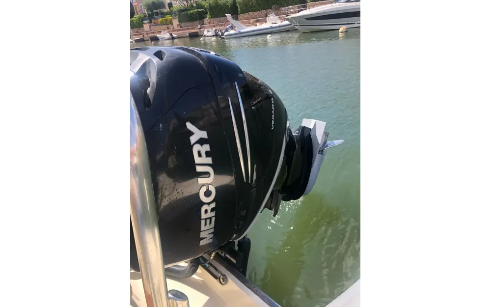slider 4 Invictus  270 FX - null