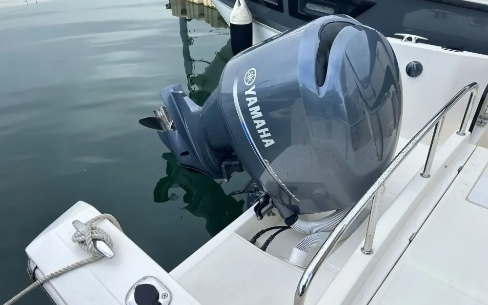 slider 9 White Shark  230 CC Origin
