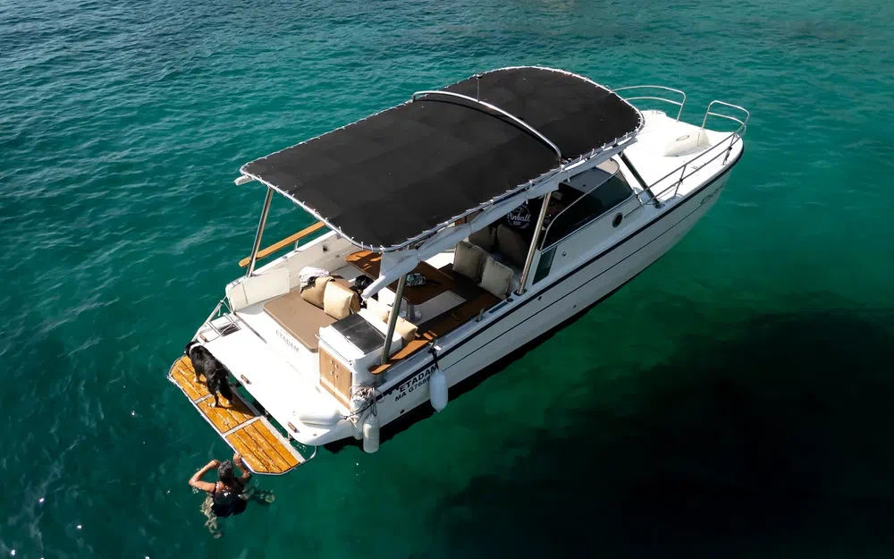 slider 29 Pinball Boat Pinball E-hybrid