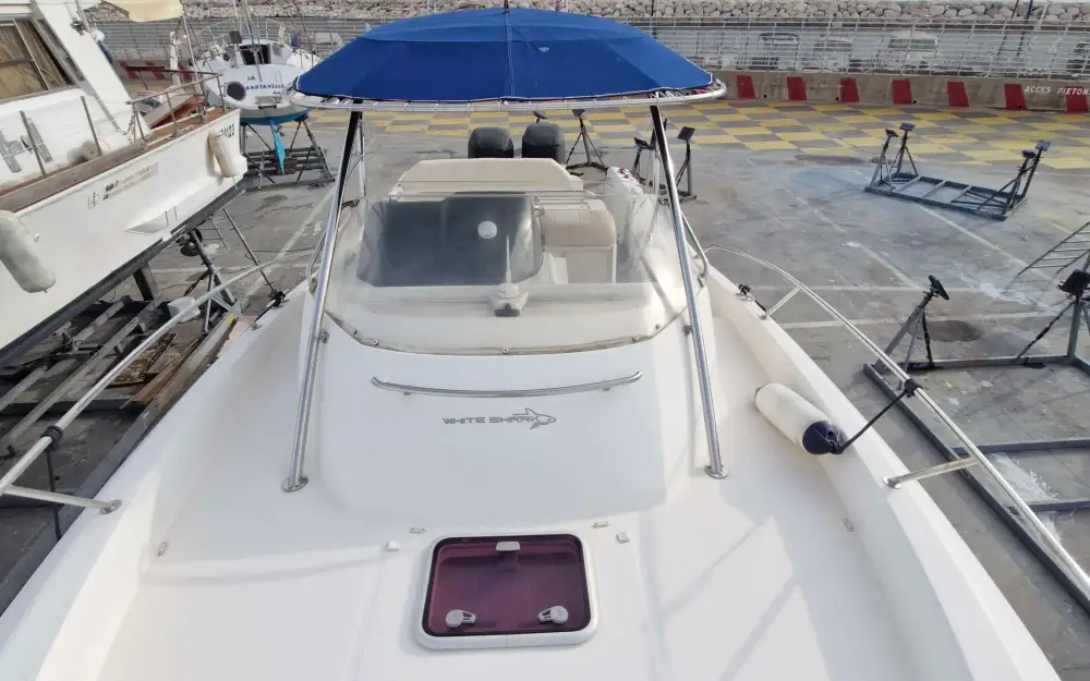 slider 12 White Shark  298