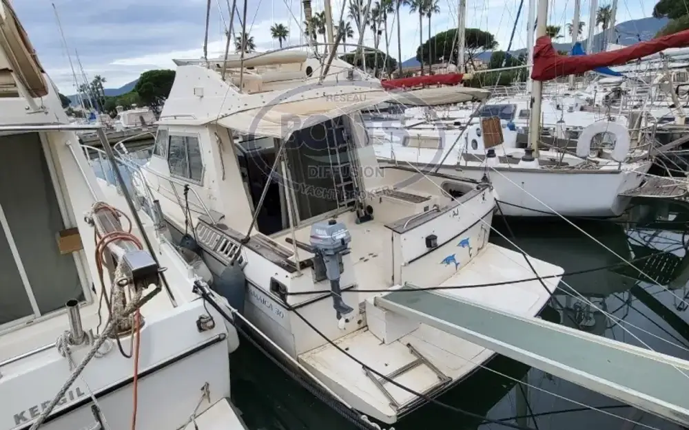 slider 1 Gib Sea Jamaica 30 Fly