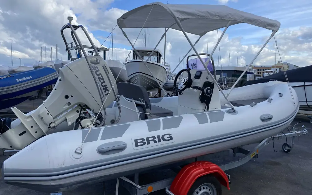 BrigFalcon 450