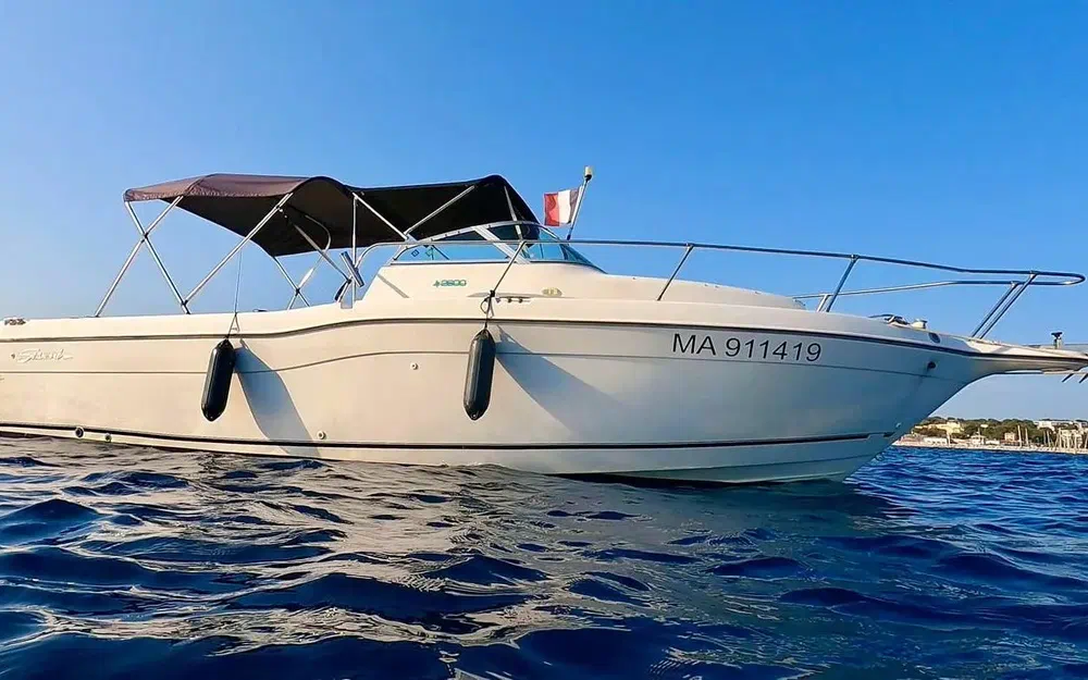 slider 2 Seaswirl STRIPPER 755