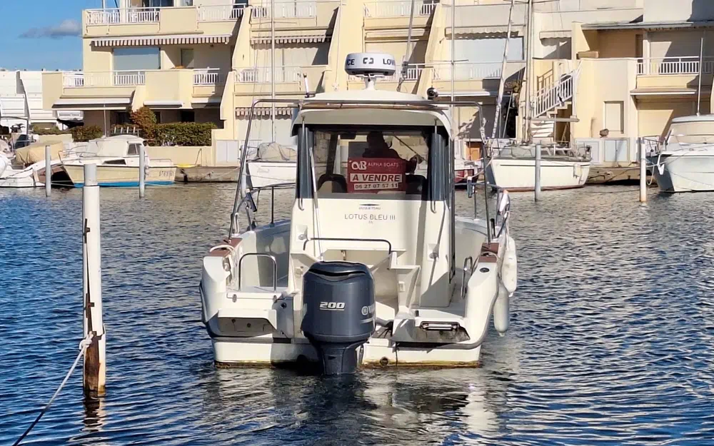 slider 11 Ocqueteau Ostrea 800