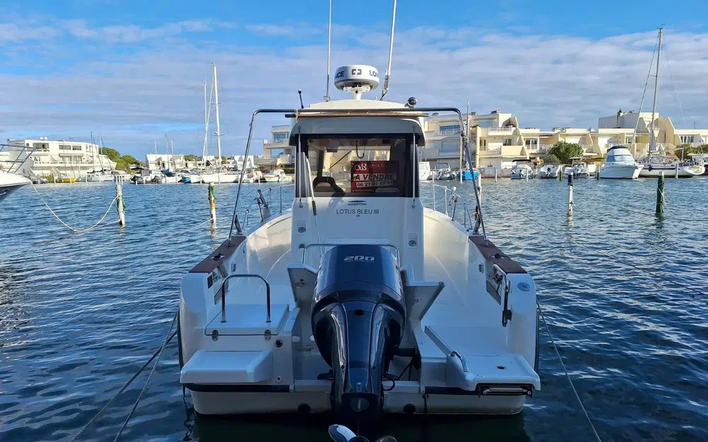 slider 15 Ocqueteau Ostrea 800