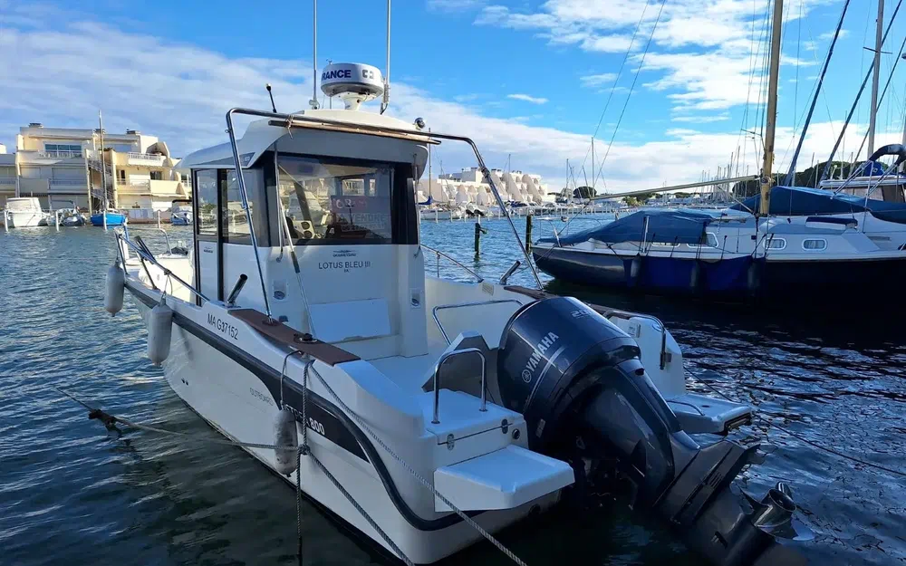 slider 16 Ocqueteau Ostrea 800