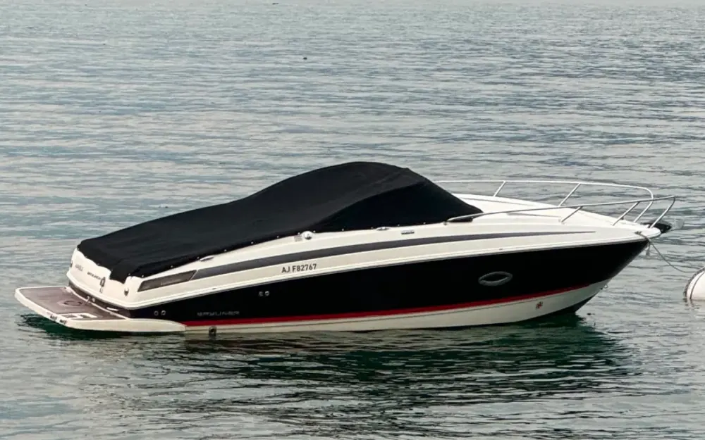 BaylinerBayliner 742 R