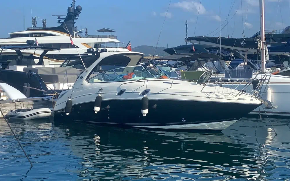 Sea RaySea Ray 305 Sundancer