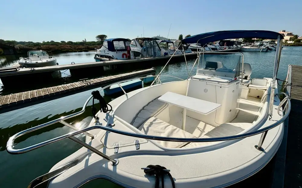 slider 2 Kelt White Shark 195