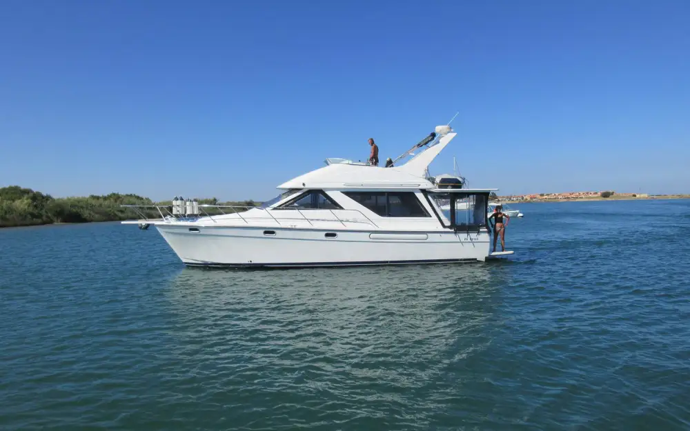 slider 0 Bayliner  3988