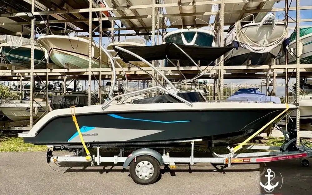 SealverWave Boat 656